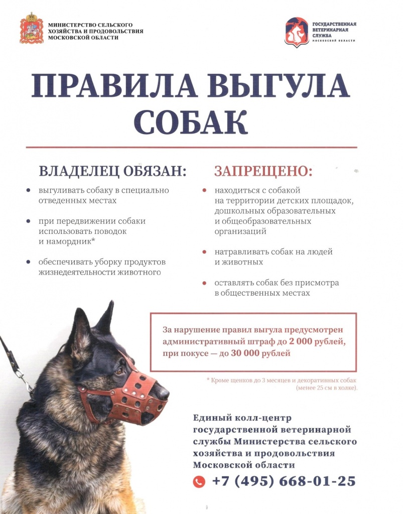 Правила выгула собак.jpg